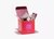 fruitinfusie-dammann-passievrucht-framboos-thee-20-zakjes